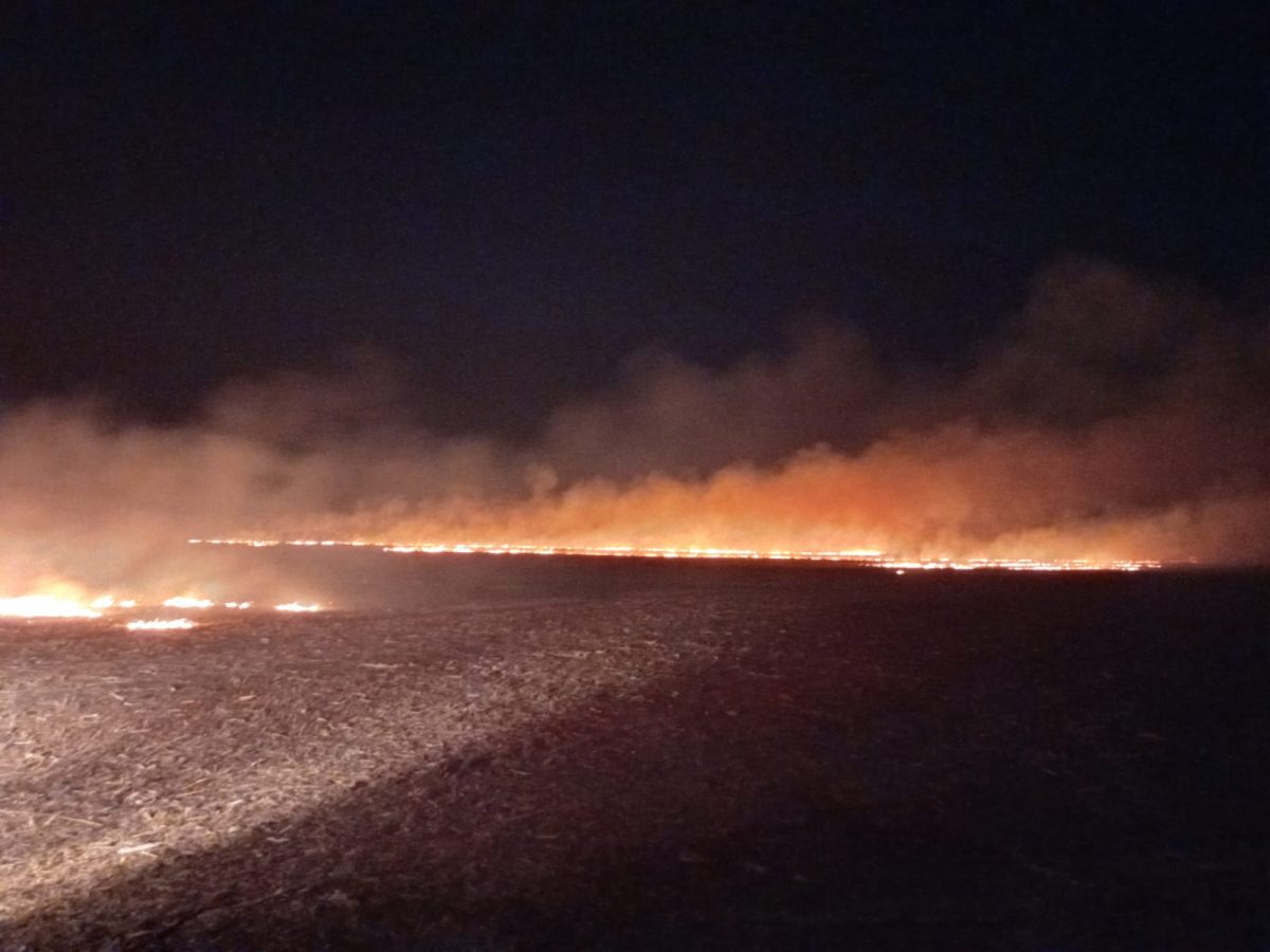 Incendiu de vegetaţie usacată în orașul Tg. Frumos. Aproximativ 30 de hectare au fost afectate