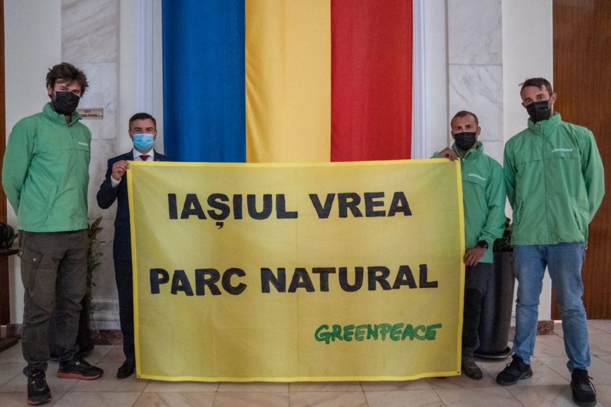 7 primării au semnat pentru înființarea Parcului Natural Codrii Iașilor