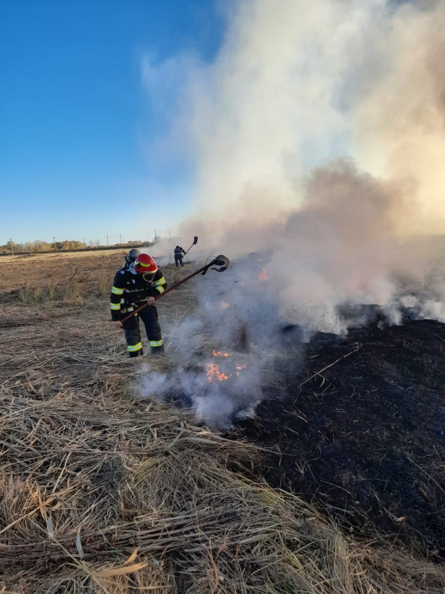 Incendiu de vegetație în localitatea Cotnari. Flăcările au cuprins aproximativ 1 ha de vegetație