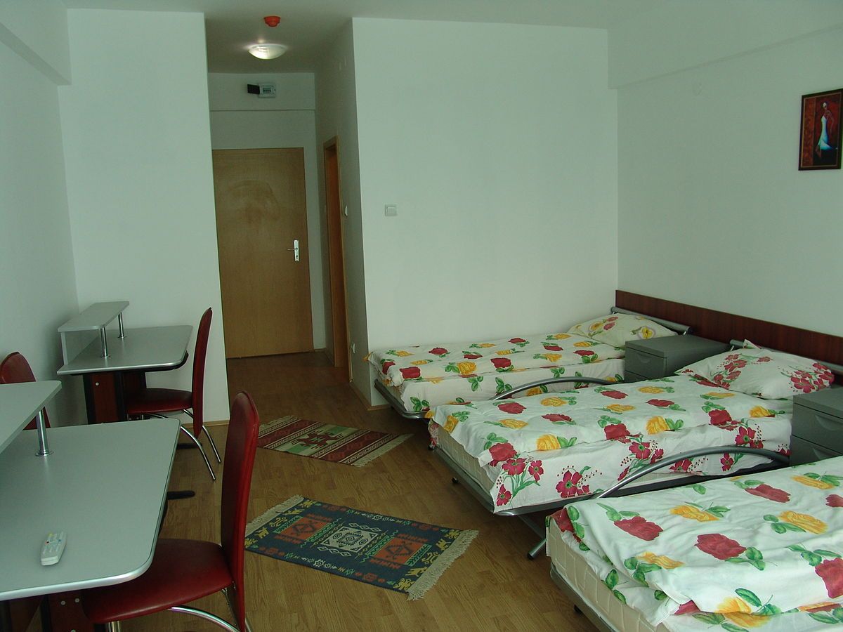 O studentă din Ploiești, cercetată după ce ar fi ucis o pisică în cămin