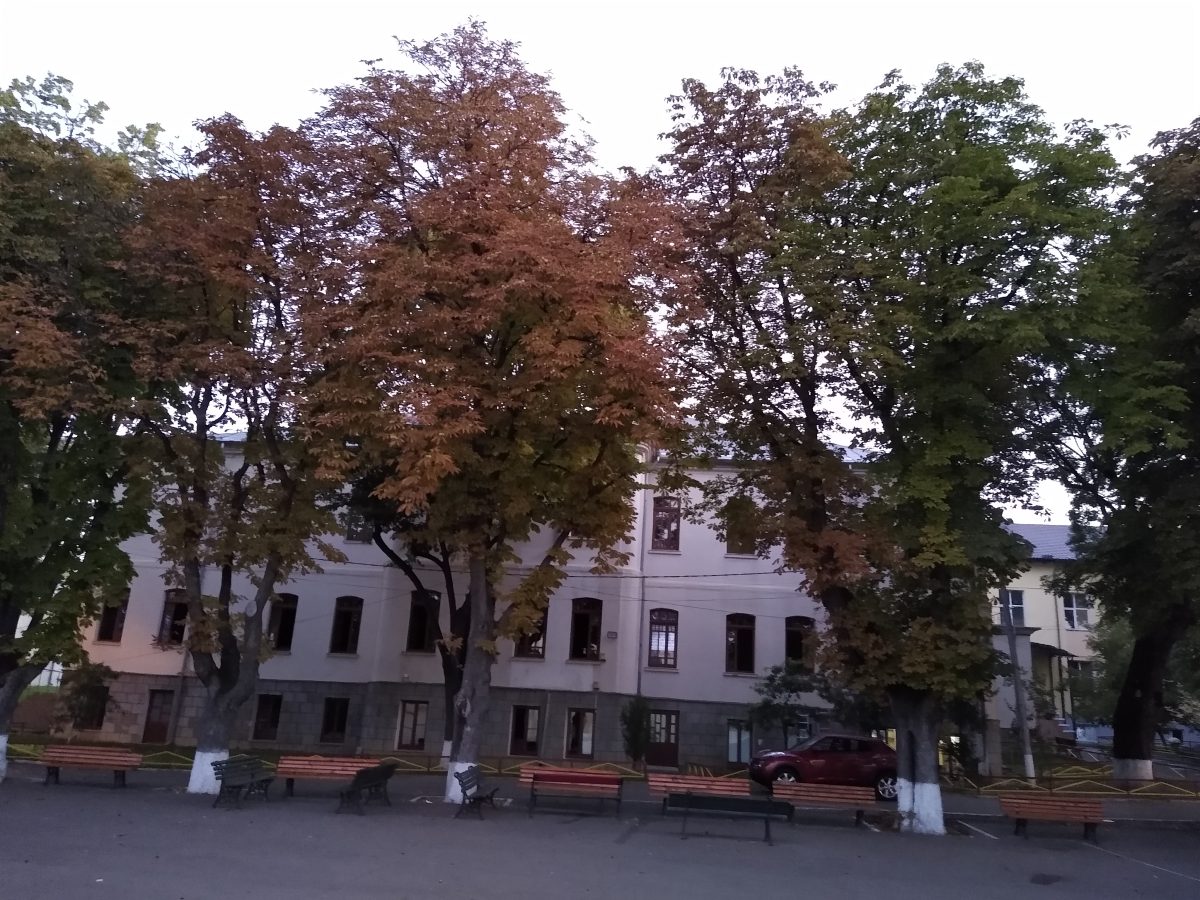 Scoala de la Palat – Școala de fete „Oltea Doamna”  4 noiembrie 1908 – 4 noiembrie 2021: Un lucru făcut cu dragoste și cu plăcere te face veșnic