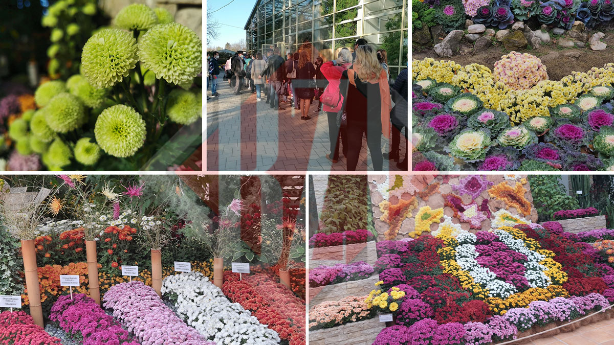 Grădina Botanică „Anastasie Fătu”, punct de atracţie pentru ieşeni de Ziua Naţională a României