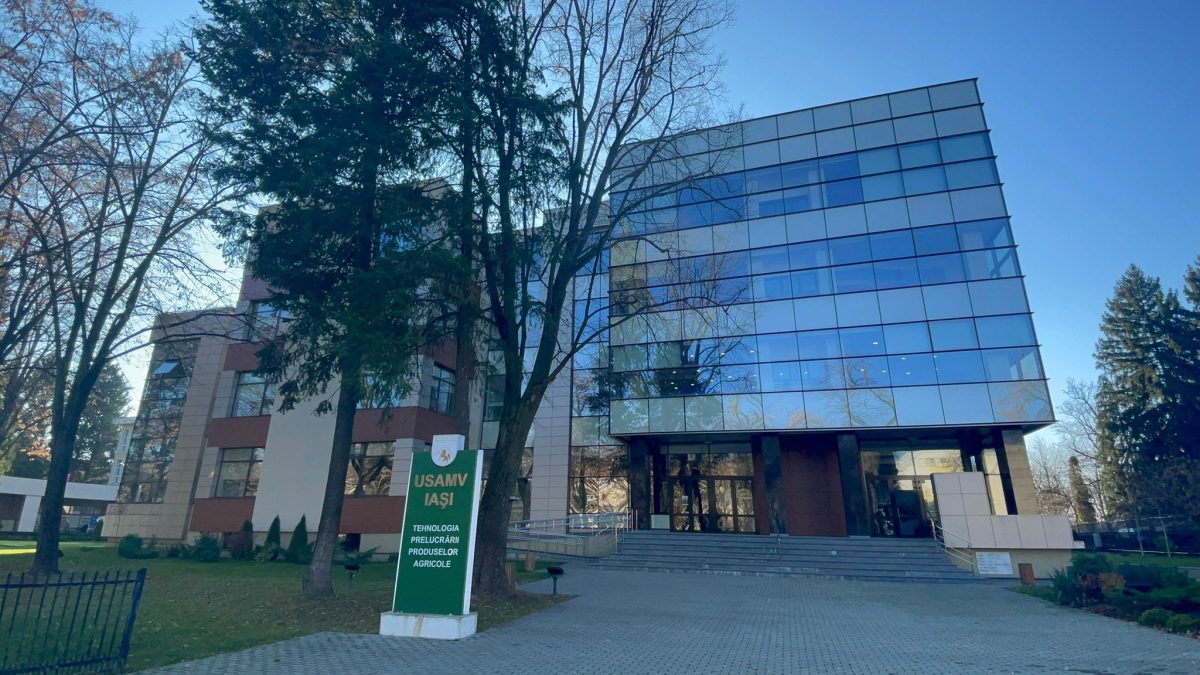 Noi oportunități de practică plătită pentru studenții USV Iași