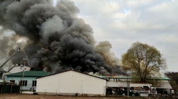 Incendiu de proporţii, pe o suprafaţă de 1.000 de metri pătraţi, la o fabrică de mezeluri din Olt