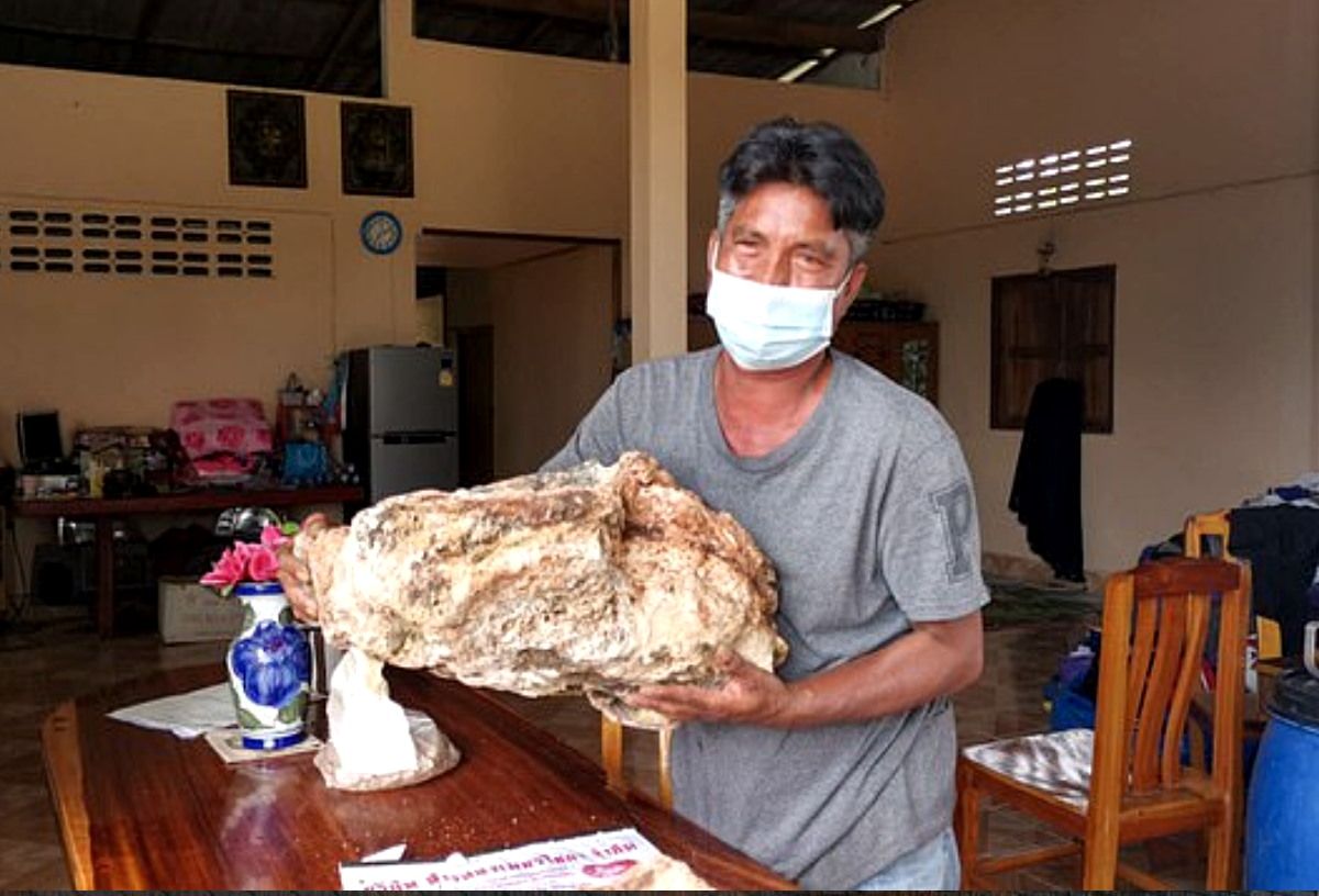 Un pescar a ajuns milionar în lire după ce a descoperit 30 de kilograme de vomă de balenă! Iată cât costă un kilogram și la ce este folosit – FOTO, VIDEO