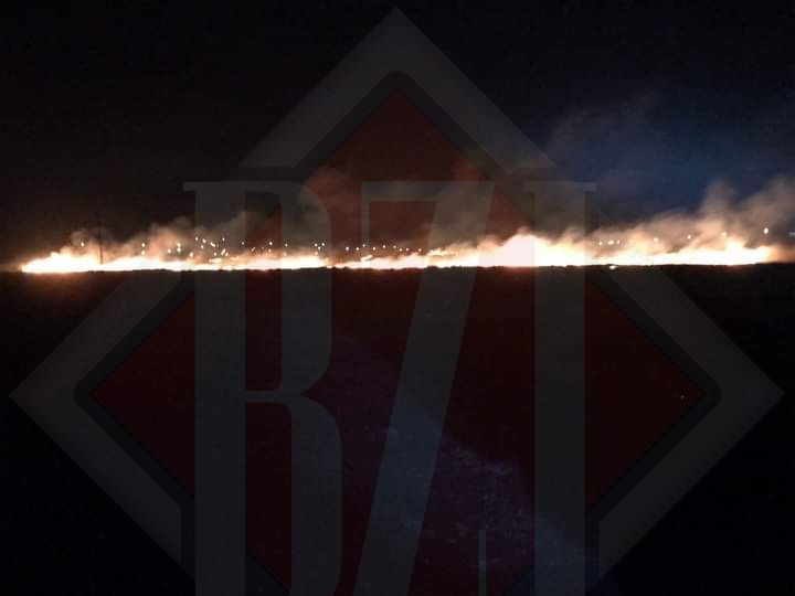 Incendiu de vegetație în Miroslava, în zona lacului Ciurbești