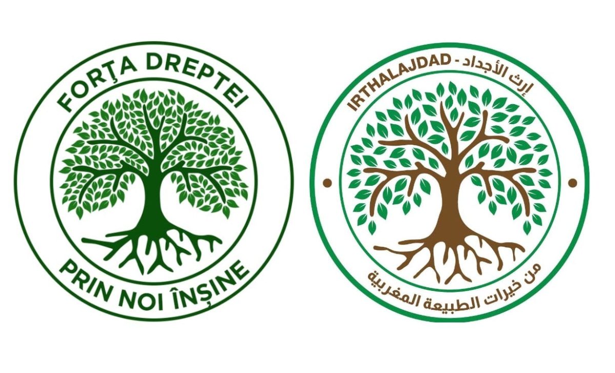 Ludovic Orban este acuzat că ar fi plagiat sigla partidului Forța Dreptei! Seamănă izbitor cu un logo din Maroc