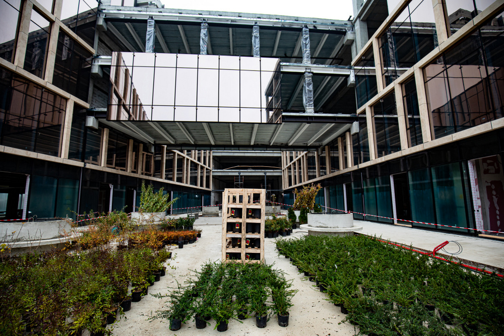 Se amenajează spațiile verzi de la Palas Campus: peste 200 arbori, 7.000 arbuști și o grădină suspendată