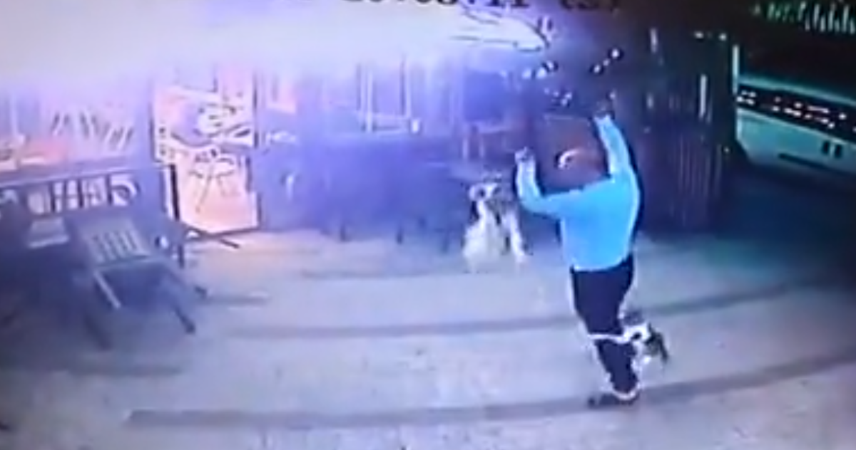 Un bărbat din Chișinău a fost atac de o pisică. Incidentul surprins de camerele de supraveghere – VIDEO VIRAL