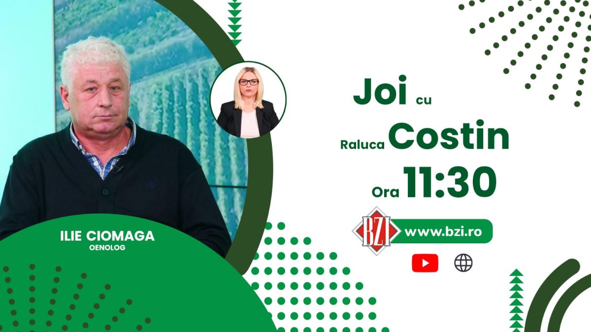 Cum este vinul produs în Iași, în anul 2021? Discuţie cu Ilie Ciomaga, oeonolog, numai la BZI LIVE!