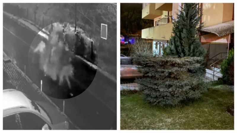 Doi tineri au tăiat bradul din fața blocului pentru a avea pom de sărbători – FOTO, VIDEO
