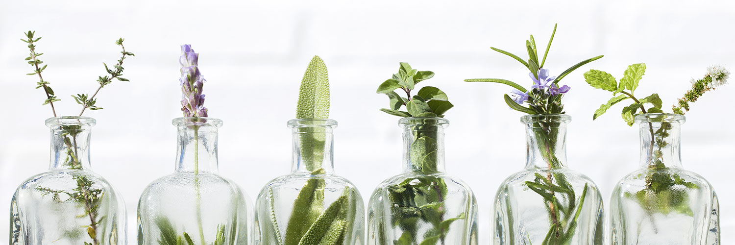 plante medicinale în sticle