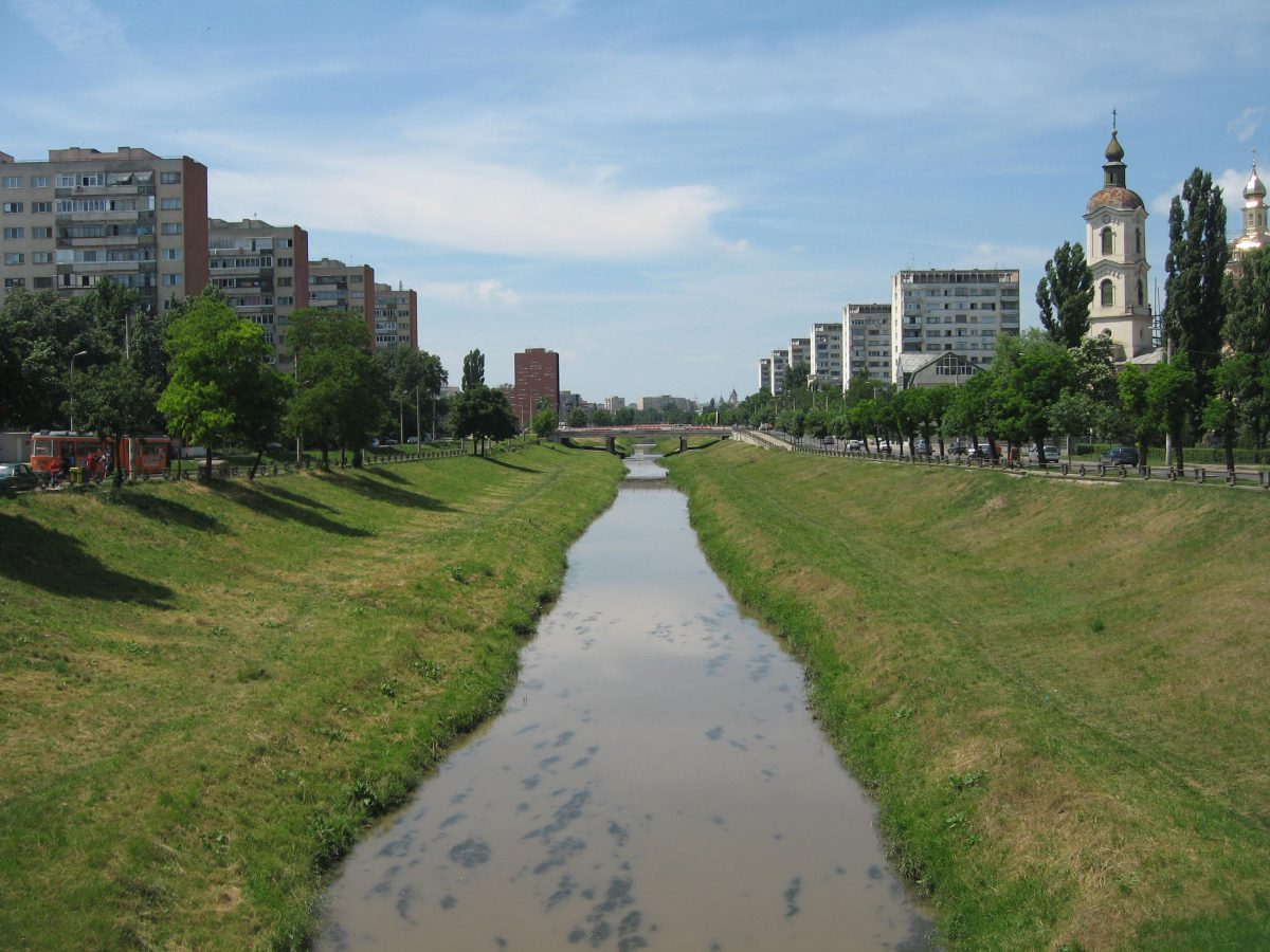 Autoritățile încearcă să salveze un câine care a căzut în râul Bahlui