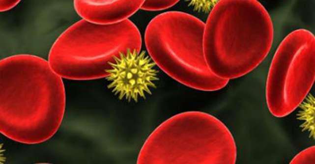 grafica colesterol si globule rosii
