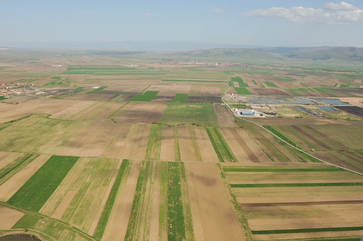 Drama cu care se confruntă agricultura din România! Țara exportă toată recolta, iar bugetul pierde miliarde de euro