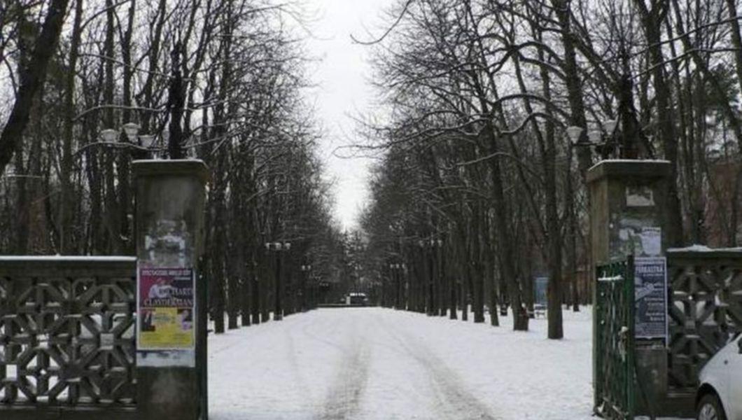 Scrisoarea unei ieșence: „Opriți masacrarea parcului Copou”
