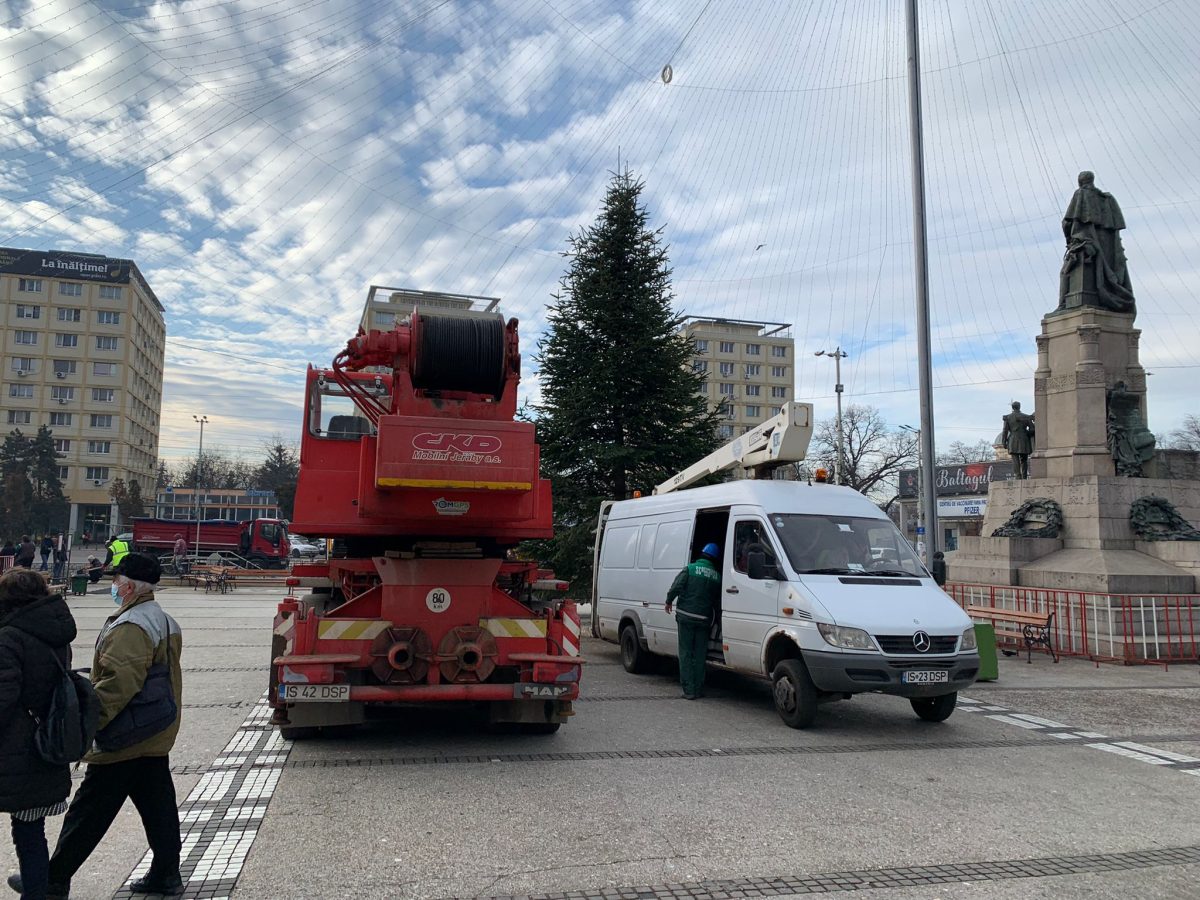 Brazii din Iași sunt despodobiți. Angajații Serviciilor Publice îi vor prelua din principalele centre de cartier ale orașului – FOTO