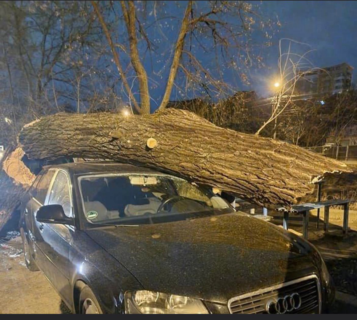 Rafalele de vânt au creat pagube la Iaşi. Un copac s-a rupt şi a căzut peste un autoturism marca Audi – EXCLUSIV, FOTO