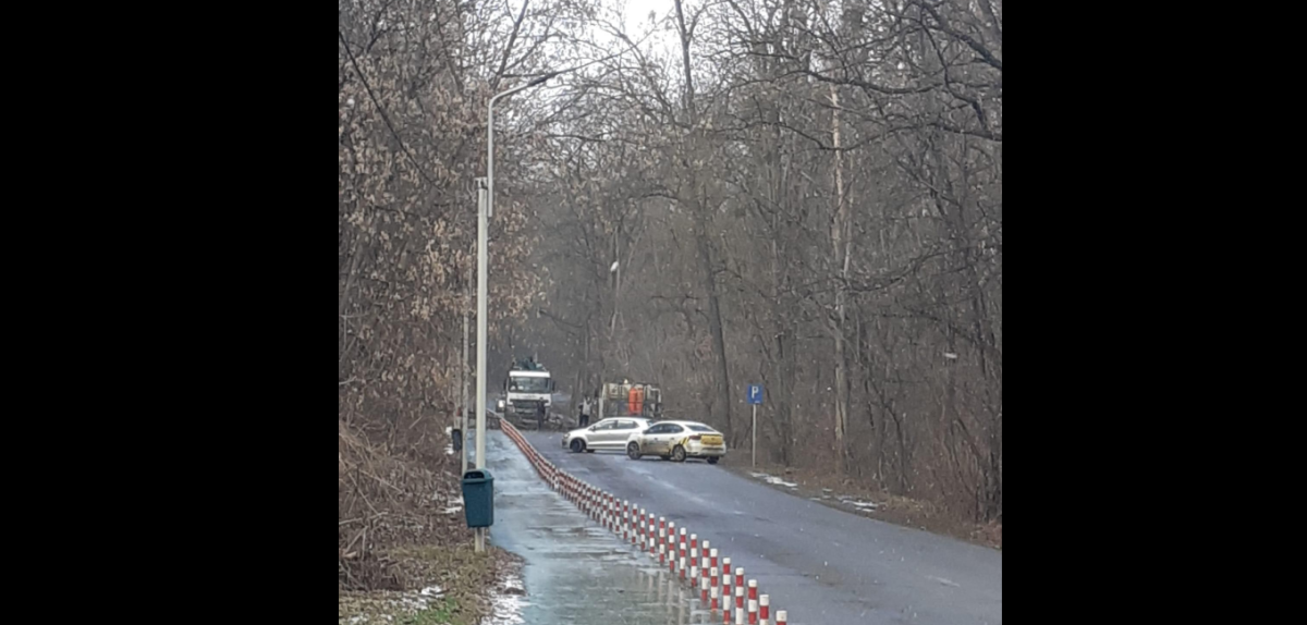 Drumul spre Aeroportul Internaţional Iaşi, blocat. Un copac căzut a încurcat circulaţia