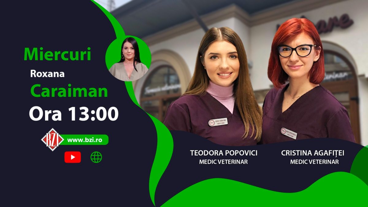 Teodora Popovici și Cristina Agafiței, medici veterinari, discută la BZI LIVE despre obezitatea la animalele de companie