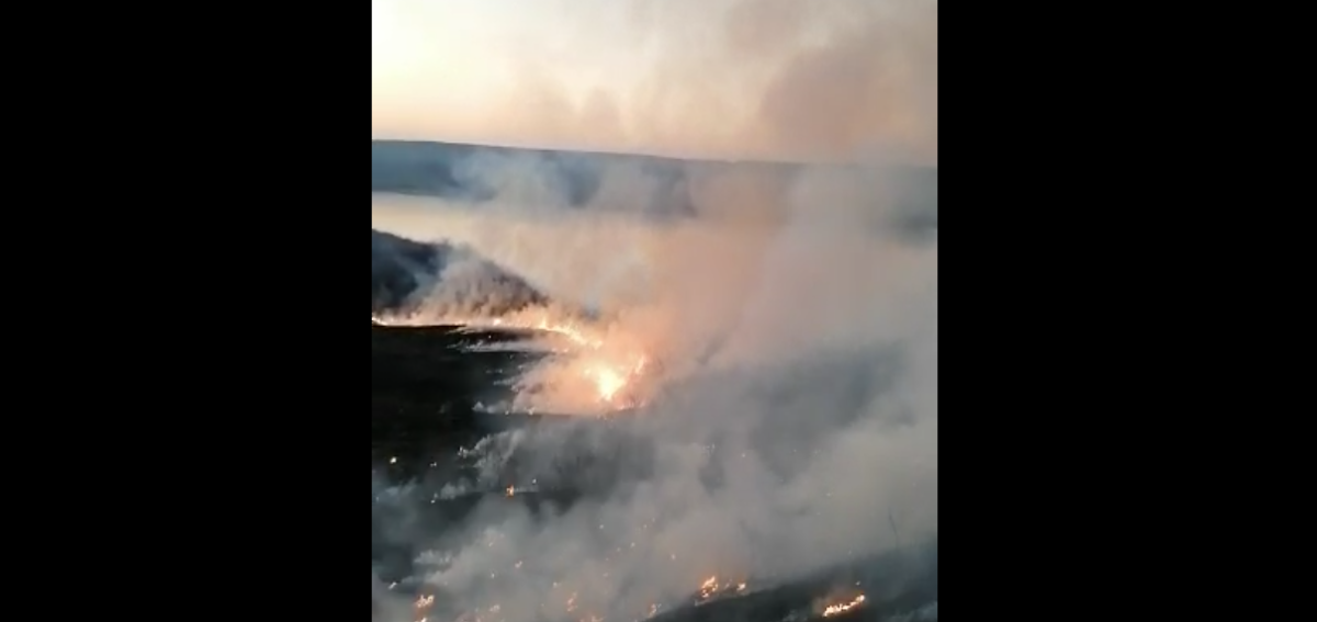 Incendiu de deşeuri şi vegetaţie uscată în două localităţi din judeţul Iaşi – EXCLUSIV, FOTO, VIDEO