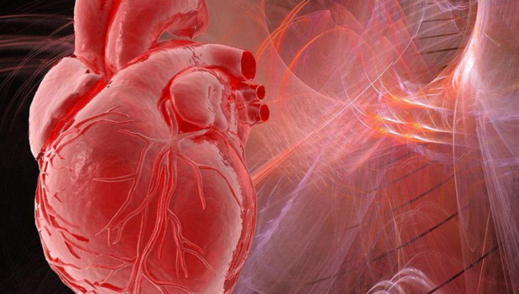 grafica inima vazuta din interiorul corpului