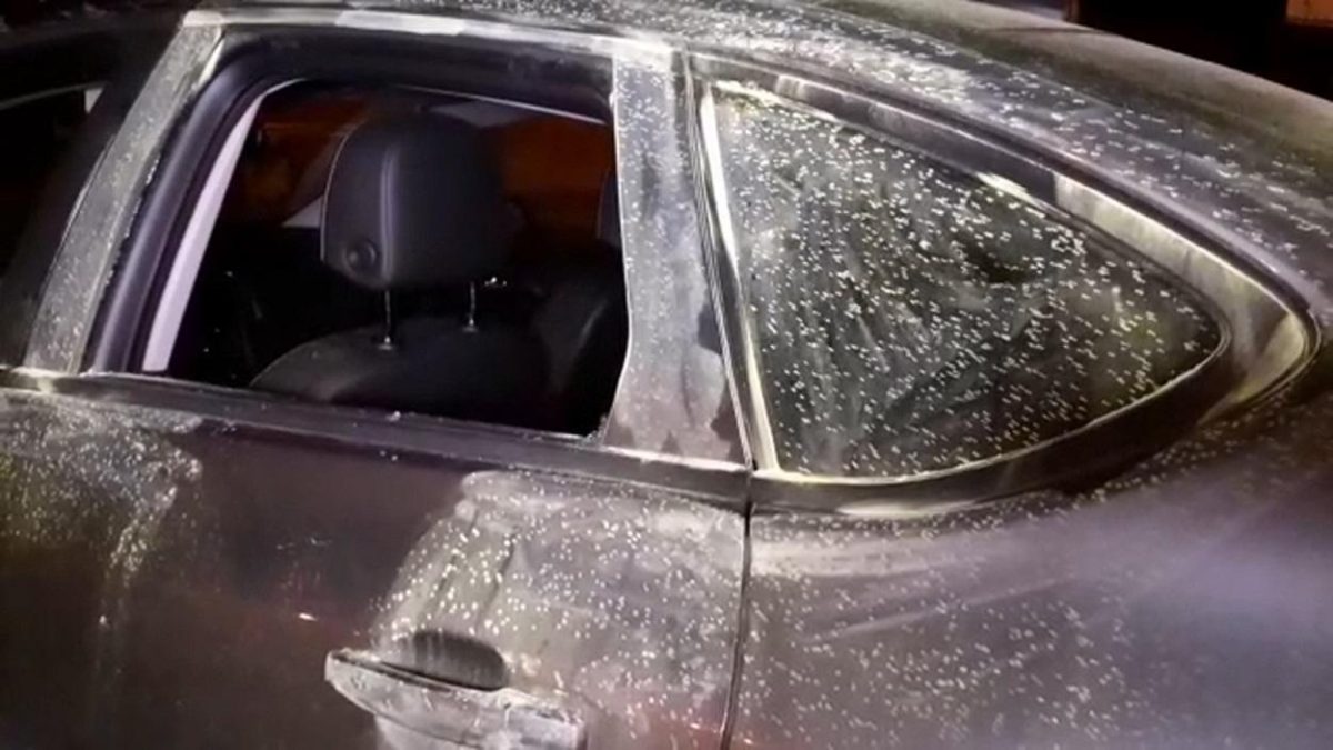 Atenție! Un hot înarmat se află în libertate! O mașină a fost spartă în centrul Timișoarei. A fost furat de pe bancheta din spate un pistol cu 18 cartușe