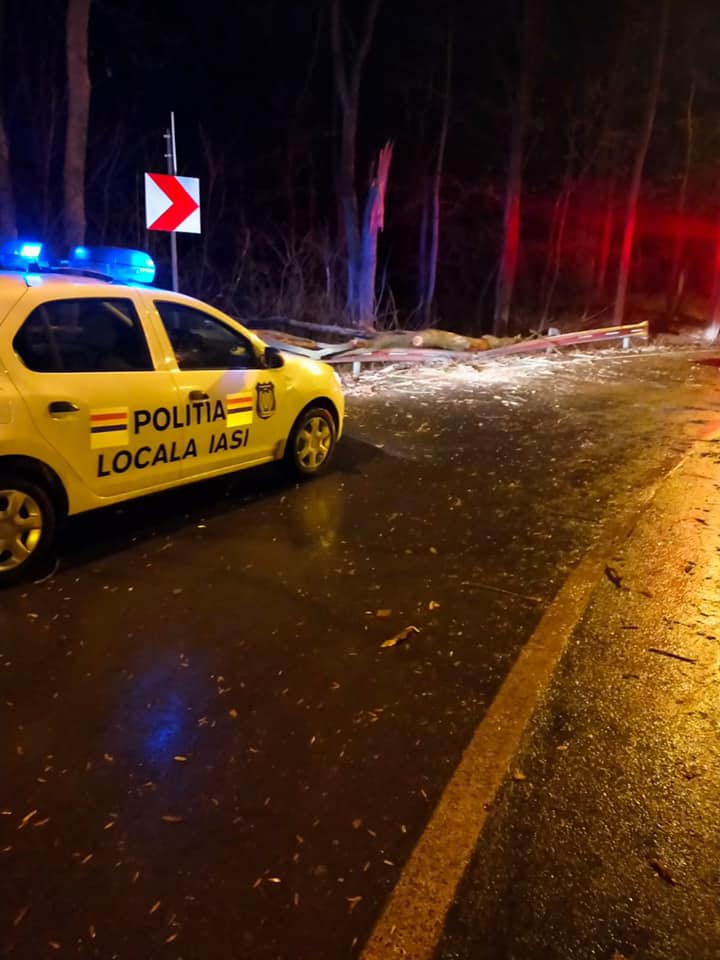 Rafalele puternice de vânt au creat probleme în Iași. Forțele de ordine au intervenit în mai multe zone -FOTO