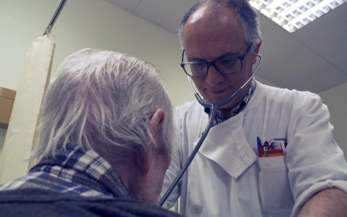 Plante pentru osteoporoză: Ierburile străbunilor
