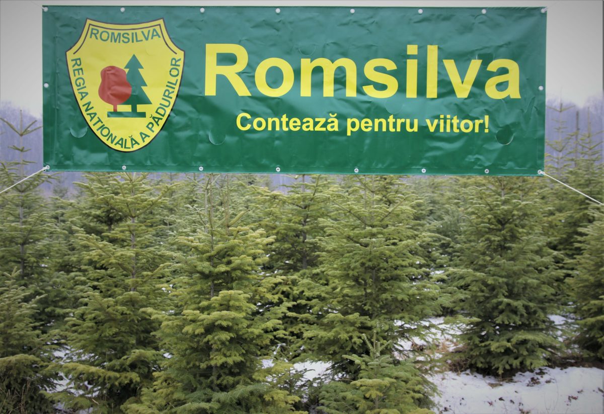 Val de concedieri în cadrul Romsilva. Sindicatele cer ajutorul Prim Ministrului Nicolae Ciucă