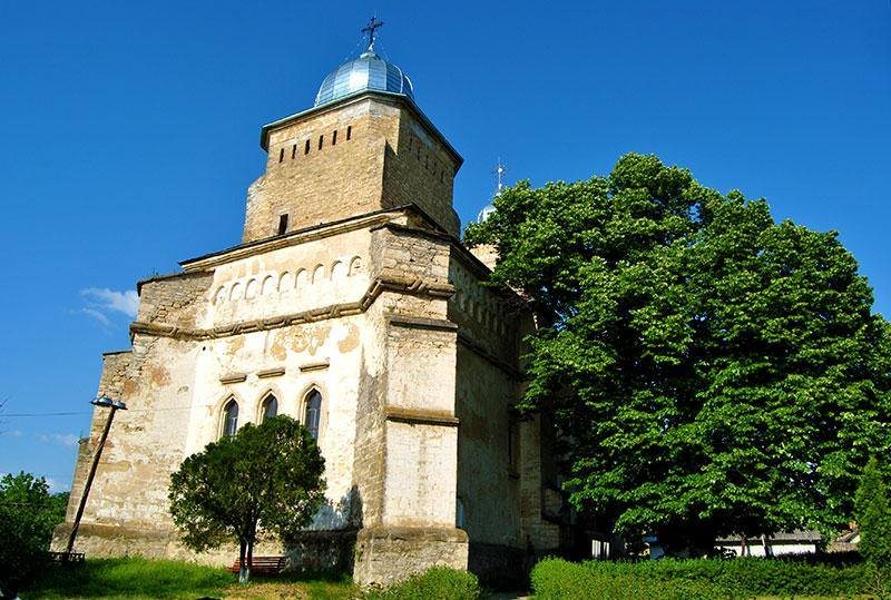 Un tei de la Mănăstirea Bârnova în vârstă de peste 680 ani, unul dintre cei mai bătrâni arbori din judeţul Iaşi – FOTO