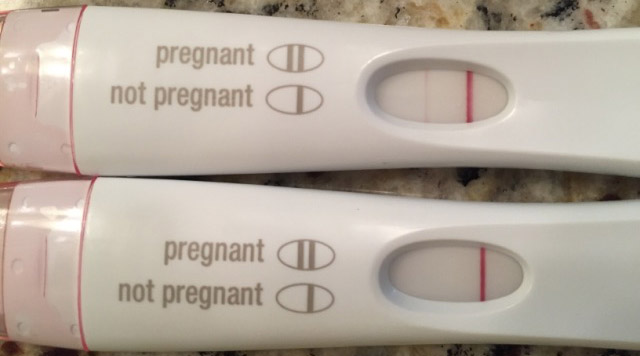 alive dish border Ce înseamnă test de sarcină negativ? Explicațiile medicilor ginecologi