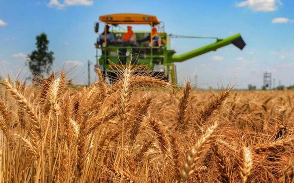 Ministerul Agriculturii asigură populația că stocurile de produse agroalimentare și de cereale ale României nu sunt în pericol