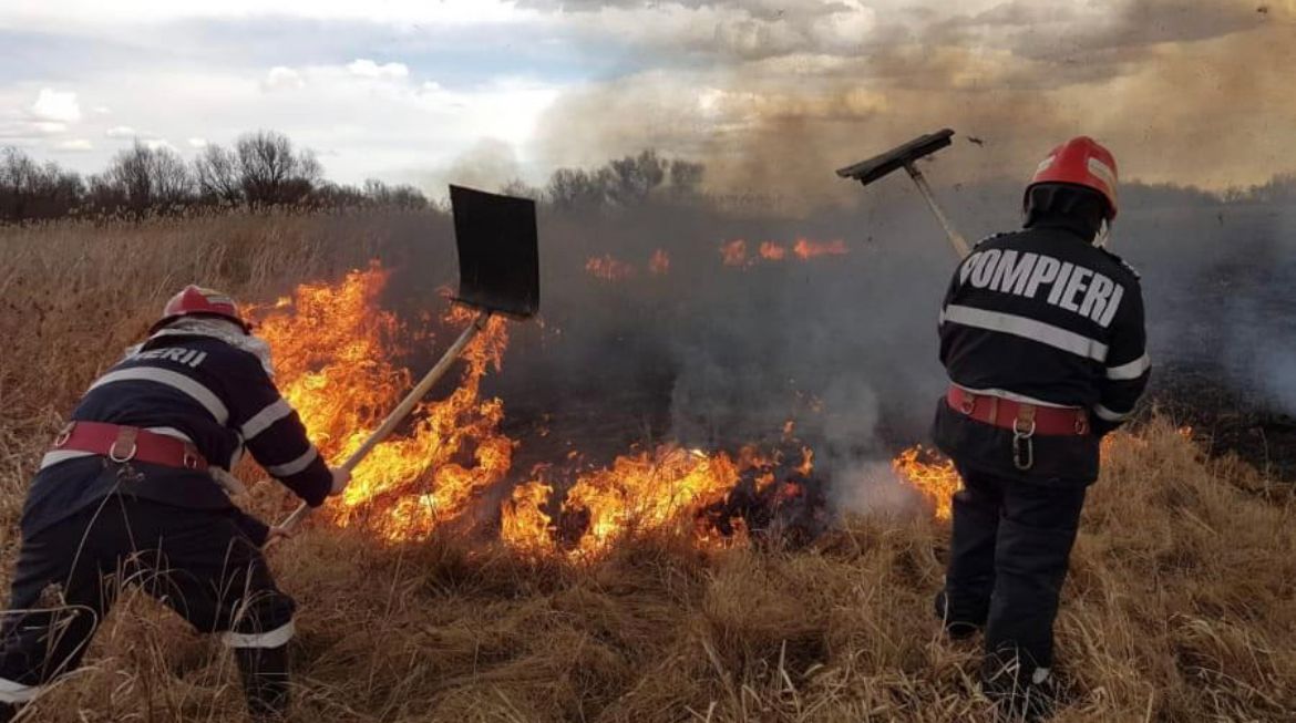 Incendiu de vegetație uscată la Mogoșești. Pompierii s-au deplasat la fața locului – EXCLUSIV