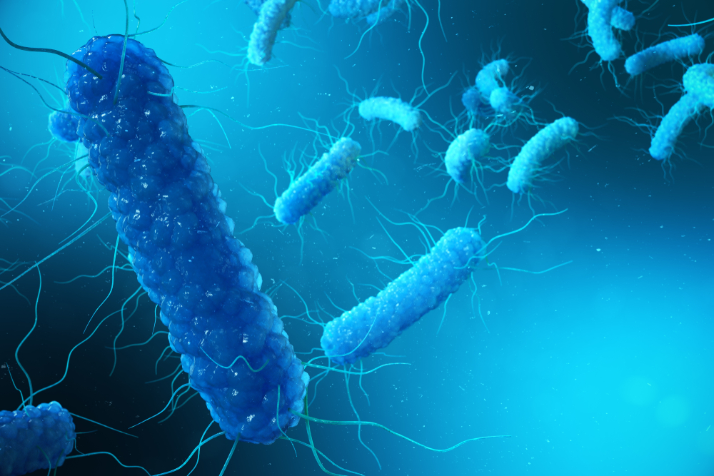 grafica in care se evidentiaza bacteria numita clostridium