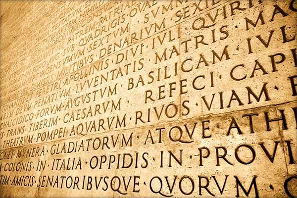 perete cu o muțime de cuvinte scrise în limba latina