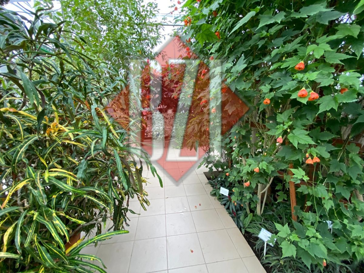 Eveniment special, pentru mii de vizitatori, deschis în Grădina Botanică din Iaşi – GALERIE FOTO