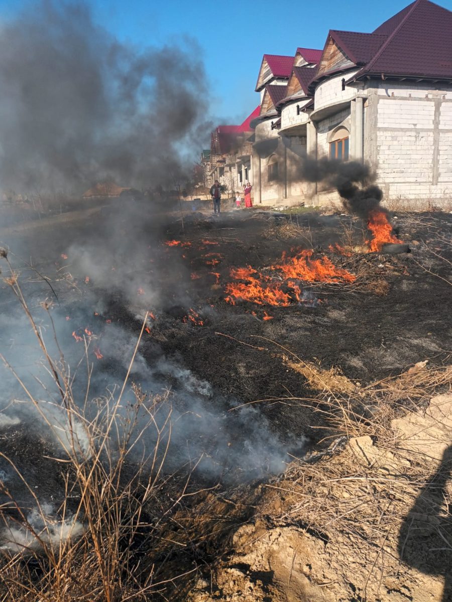 Incendiu de vegetaţie uscată în comuna Ciurea. Flăcările s-ar putea extinde la locuinţe – FOTO
