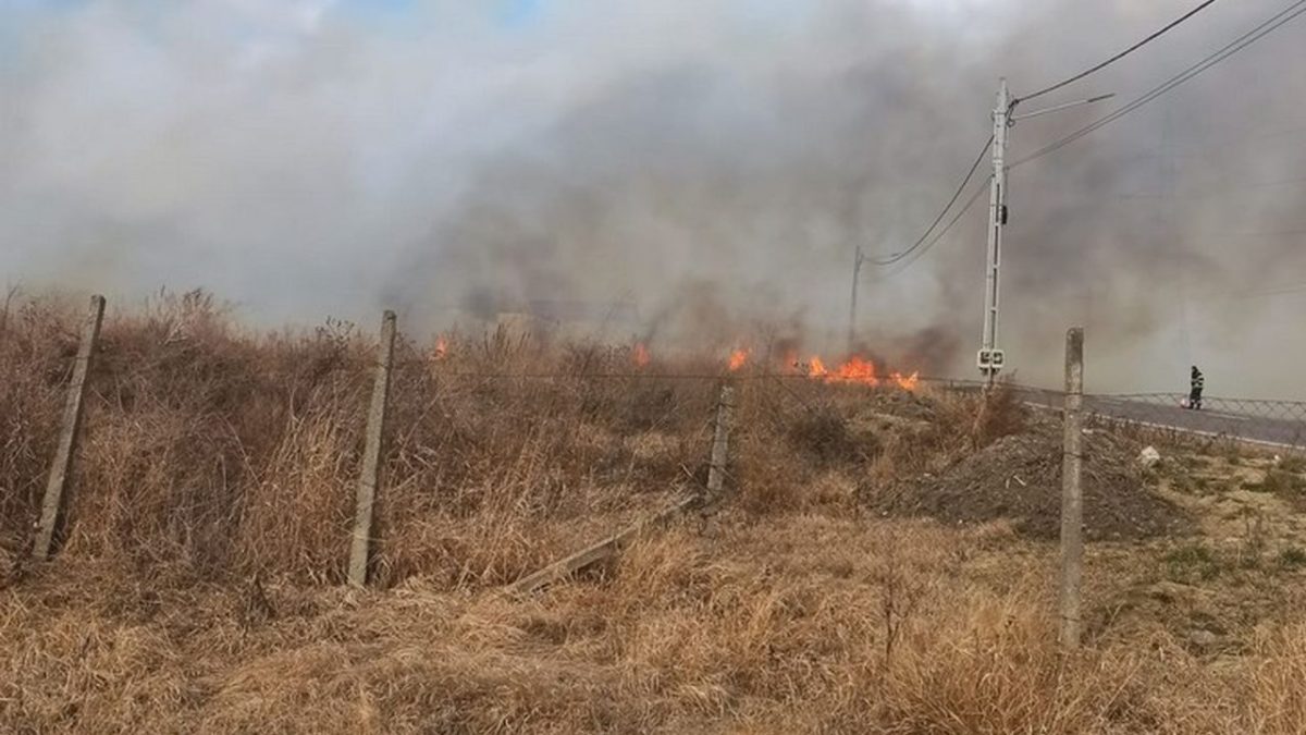 Incendii de vegetaţie uscată în două localităţi din judeţul Iaşi. La faţa locului intervin pompierii – EXCLUSIV