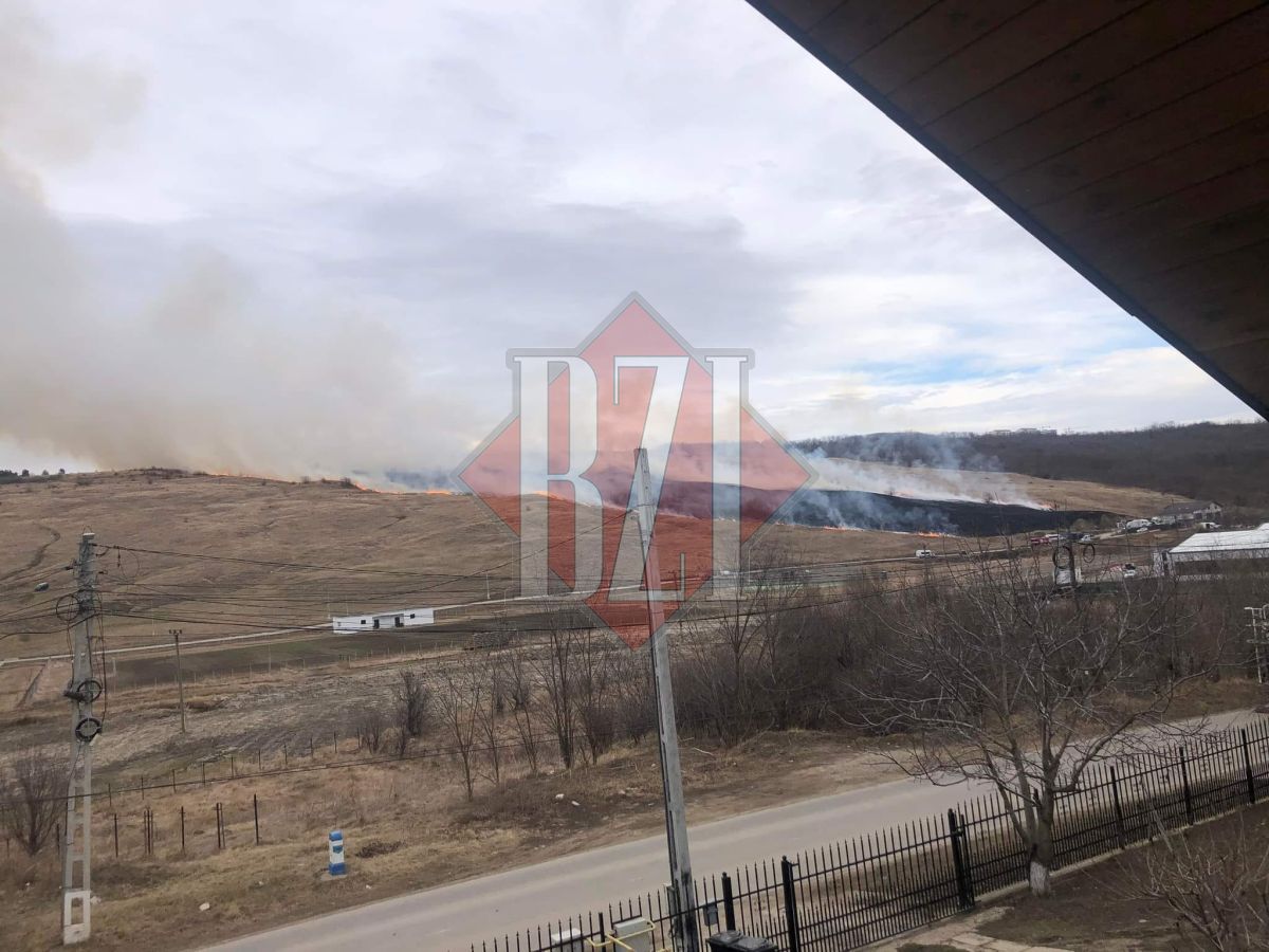 Incendiu de vegetaţie în mai multe localități din judeţul Iaşi. Pompierii se deplasează la faţa locului – EXCLUSIV, FOTO, VIDEO, UPDATE