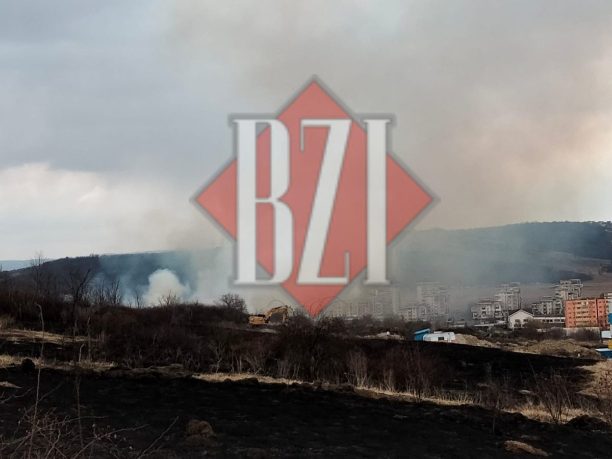 Incendiu de vegetație lângă Cimitirul Evreiesc din Păcurari – EXCLUSIV, GALERIE FOTO, VIDEO, UPDATE