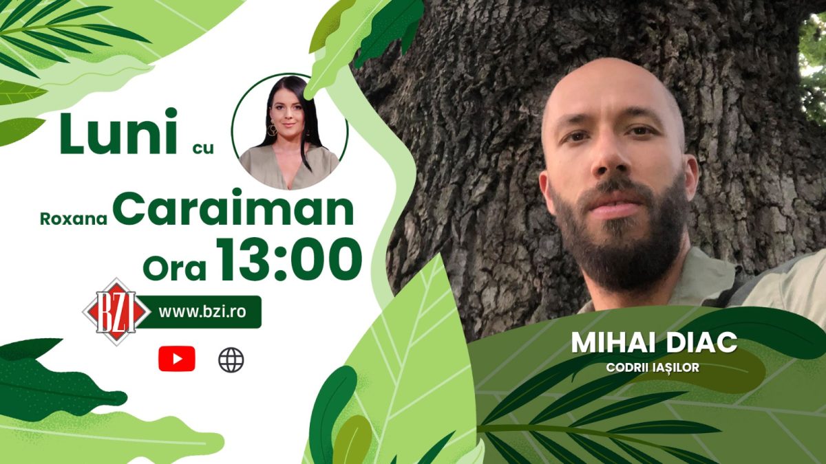 Cum vor arăta pădurile de mâine și cum ne putem asigura generațiile viitoare? Mihai Diac militează pentru oprirea tăierilor ilegale la BZI LIVE