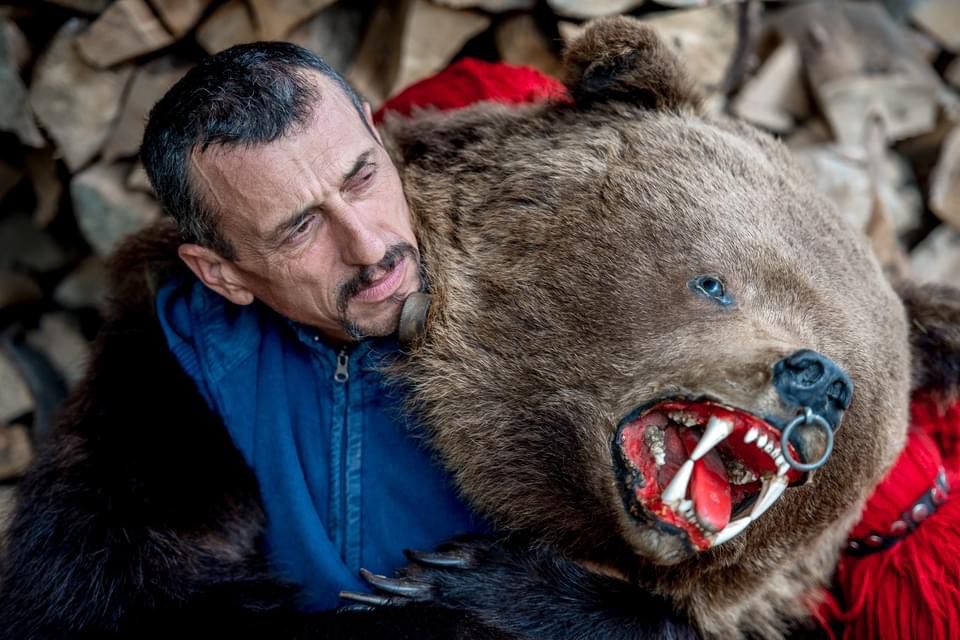 „Tata Urs” de la Asău luptă pentru viață! Câteva mii de lei l-ar putea salva pe cel care a pus bazele cetelor de urși din zona Moldovei