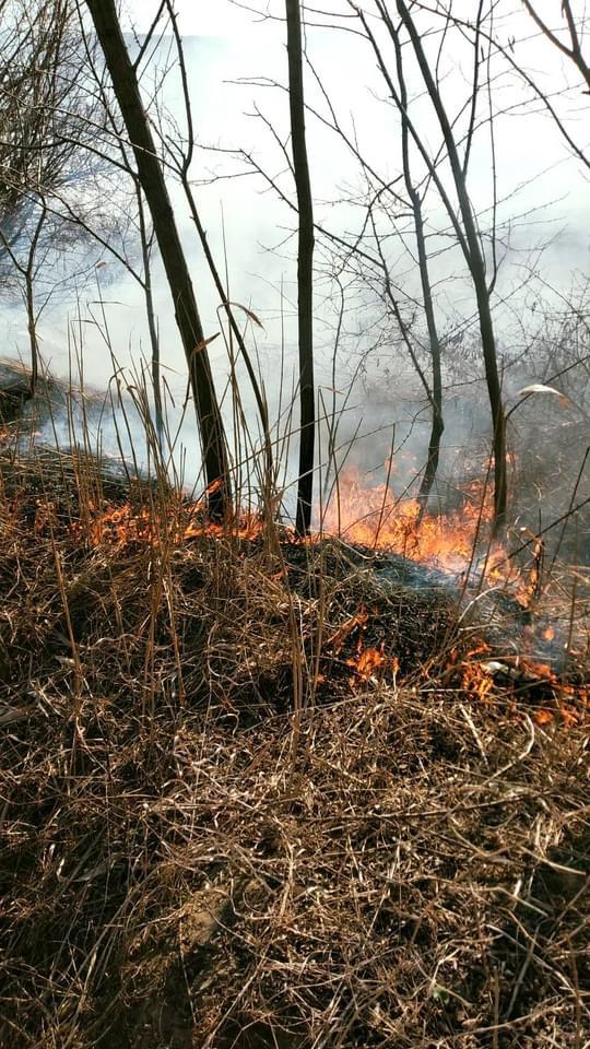 Incendiu de vegetație în Schitu Duca. Pompierii intervin de mai bine de jumătate de oră pentru a lichida flăcările – EXCLUSIV