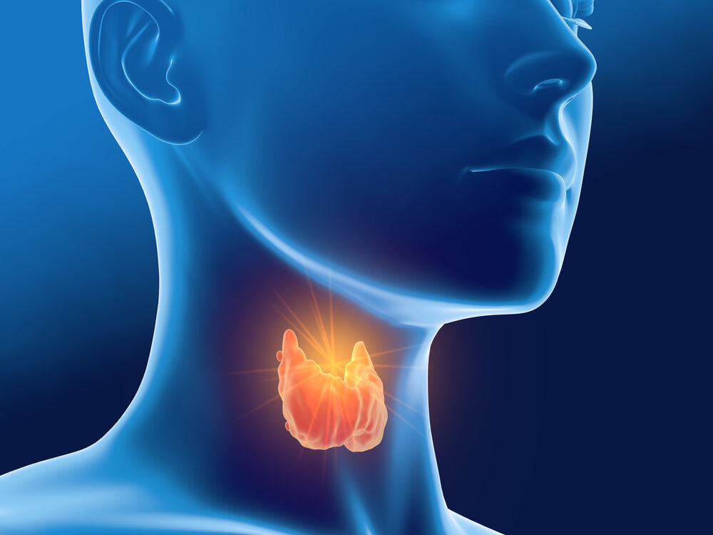 Ce organe afectează glanda tiroidă - Care sunt afecțiunile asociate ...