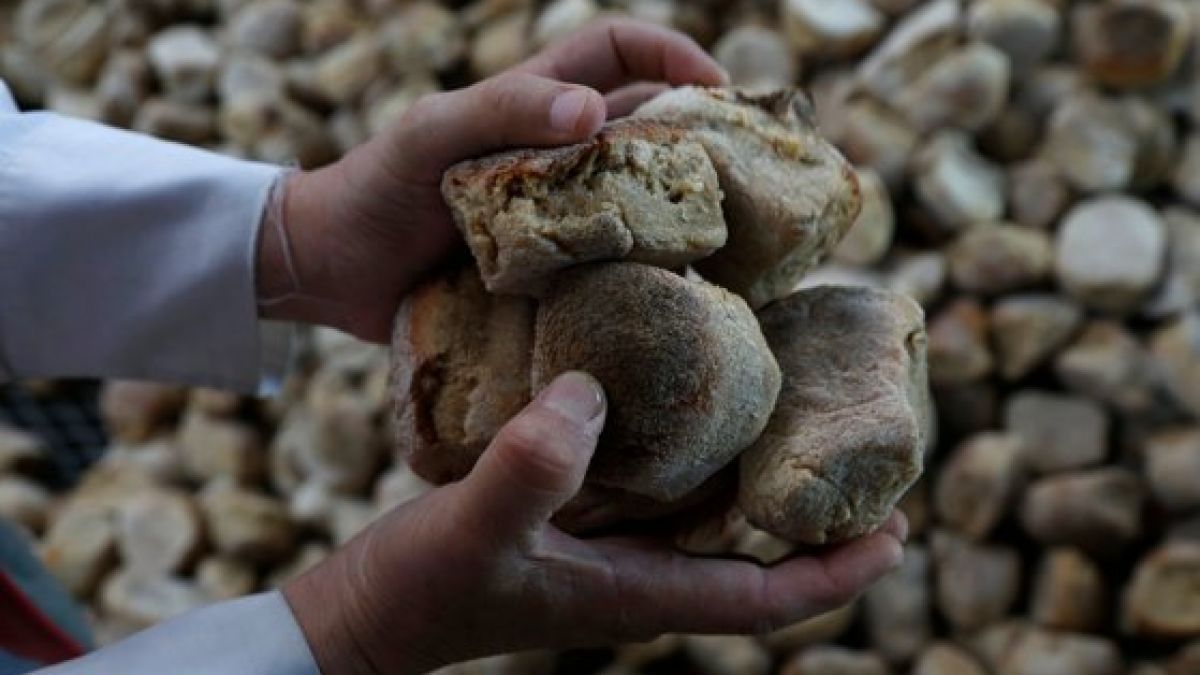Va veni o criză alimentară în Europa din cauza războiului din Ucraina?