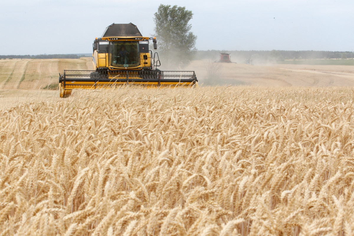 Va veni o criză alimentară mondială? Rusia a interzis exportul de cereale