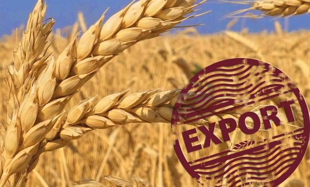 Ucraina ar putea exporta produse agricole prin intermediul portului Constanța