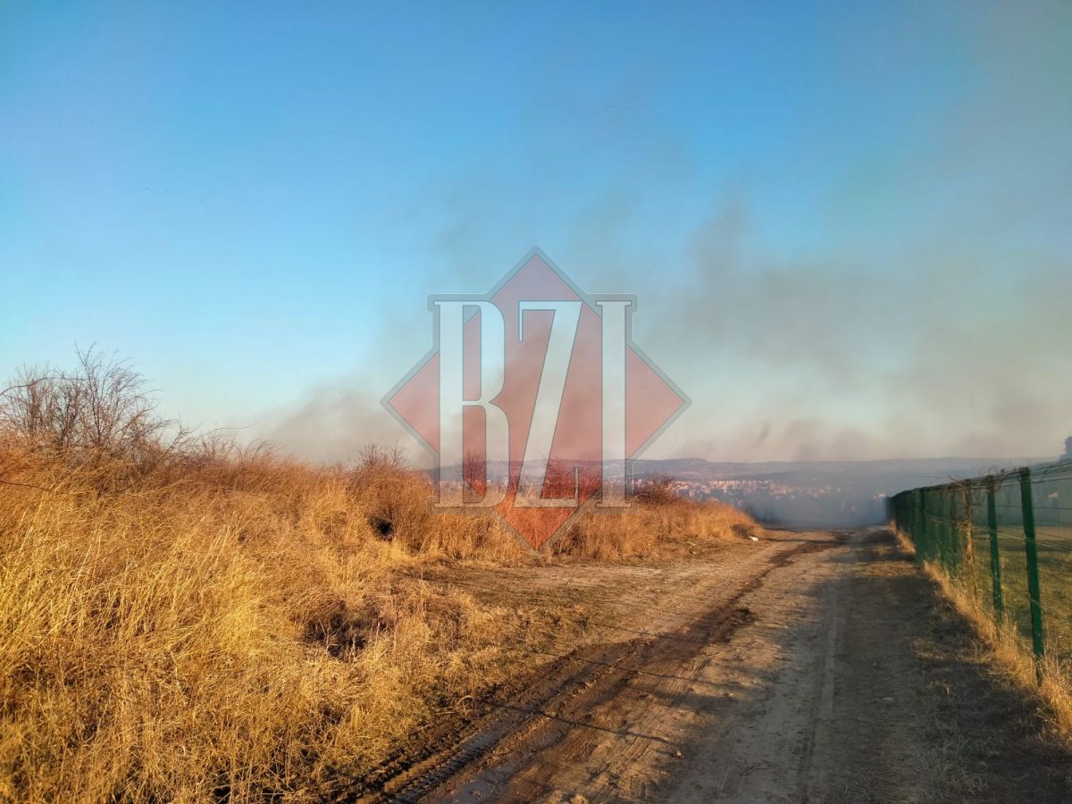 Incendiu de vegetaţie uscată în zona fermei viticole Copou – EXCLUSIV, FOTO