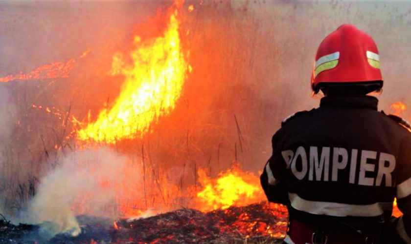 Trei incendii au izbucnit în mai multe zone din Iași. Pompierii intervin – EXCLUSIV